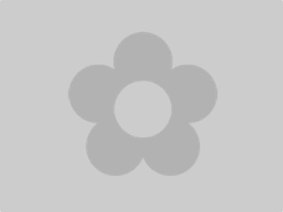 An item image placeholder